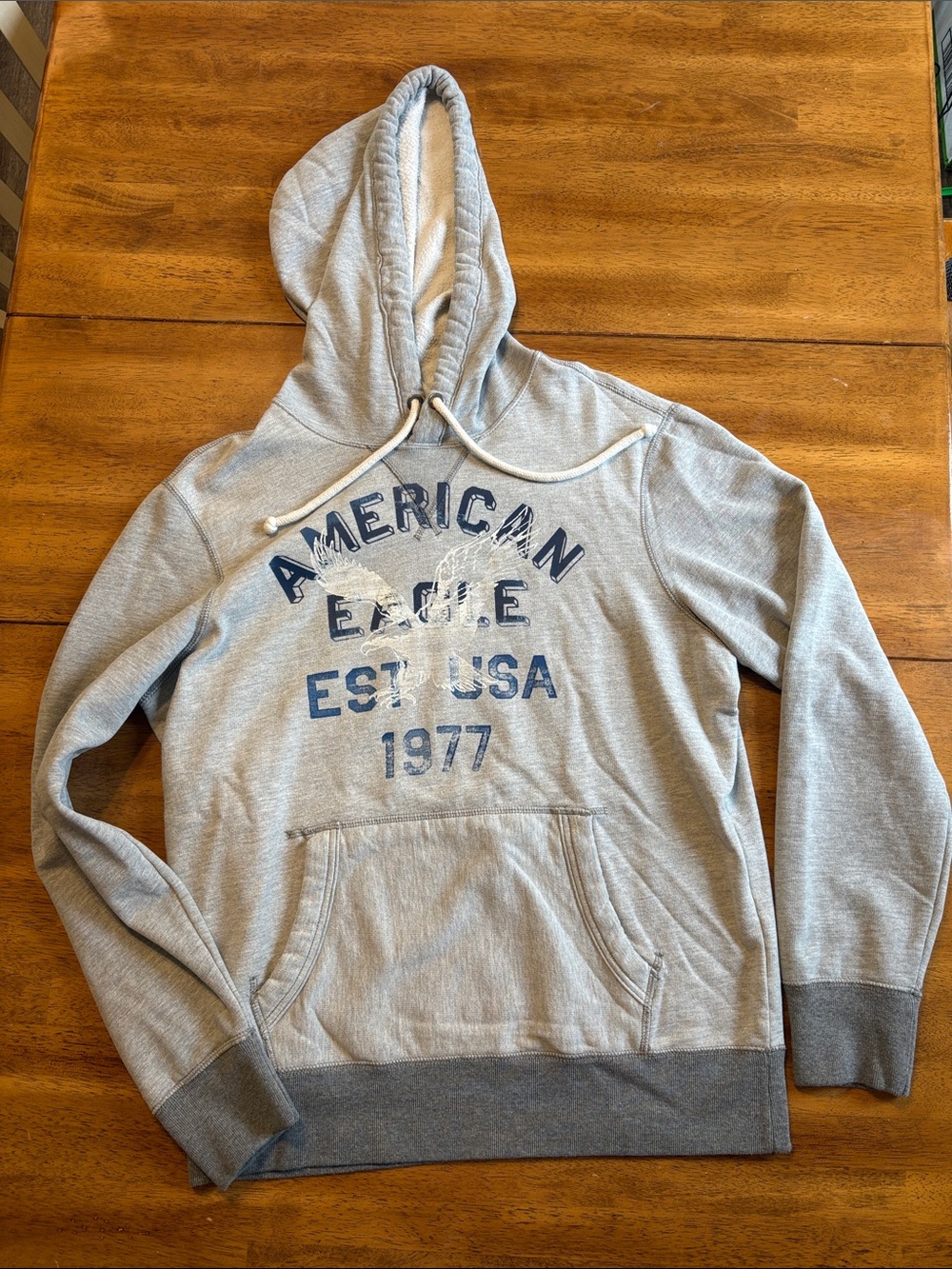 American Eagle Outfitters Light Gray Pullover Hooded Sweatshirt with Navy Logo